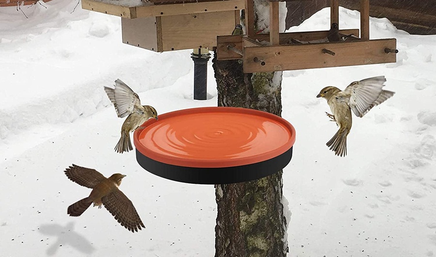 Best Deck Mounted Bird Bath Reviews