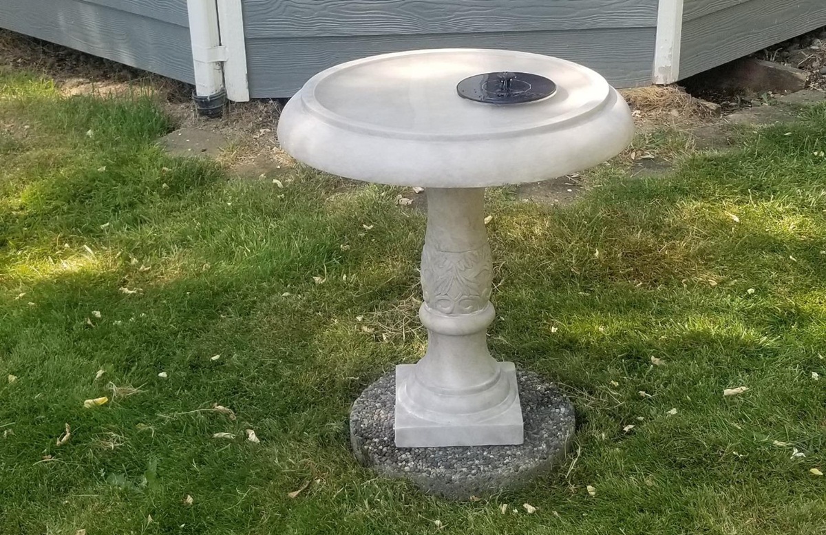 Best Concrete Bird Bath Reviews
