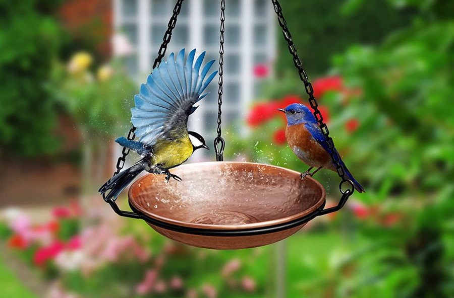 Best Hanging Bird Bath Reviews