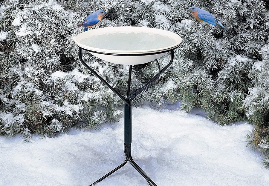 5 Best Pedestal Bird Bath Reviews of 2022