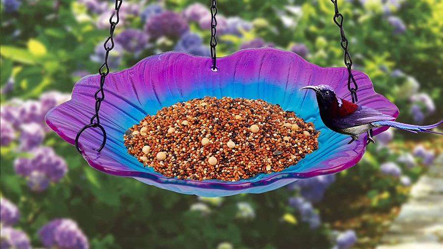 5 Best Sunflower Bird Bath Reviews of 2022 Soak Petals