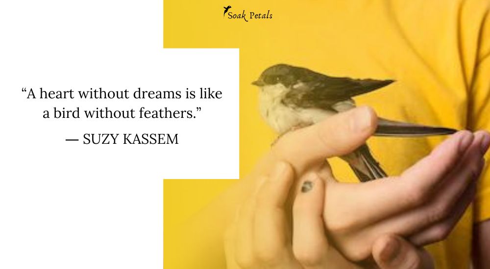 Catch the Bird How to Help a Bird with a Broken Wing