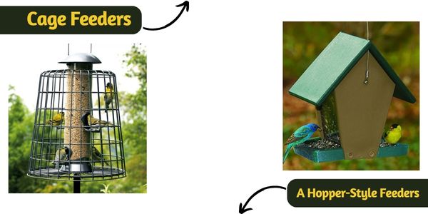 Cage Feeders A Hopper-Style Feeders
