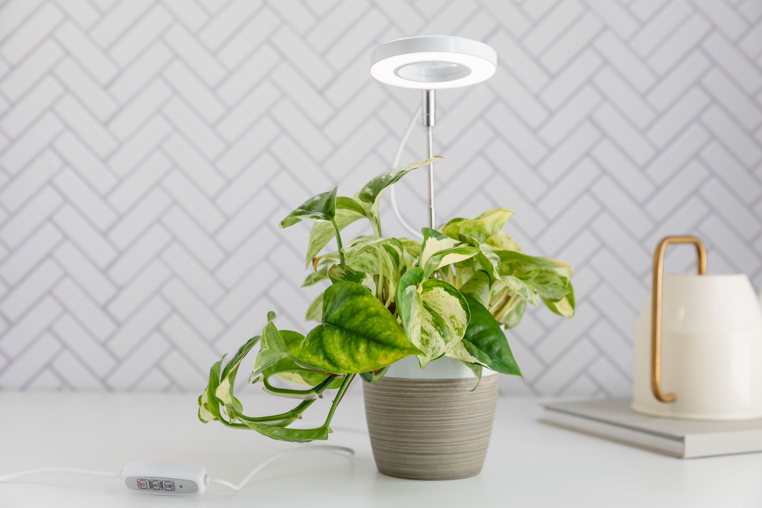 Are Grow Lights Safe For Humans
