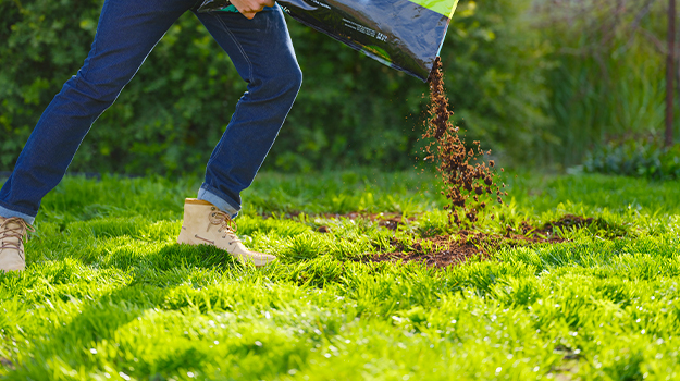 Benefits of Peat Moss for Your Garden