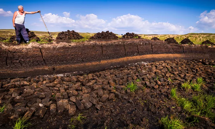 Environmental Consequences of Peat Moss Mining