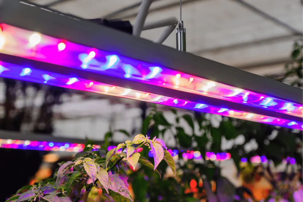 How To Hang Grow Lights