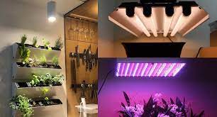 How to Set Up LED Grow Lights for Indoor Plants