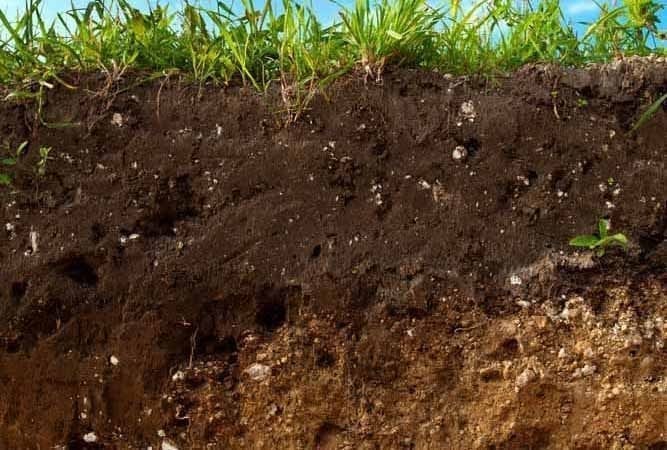 Improved Soil Structure