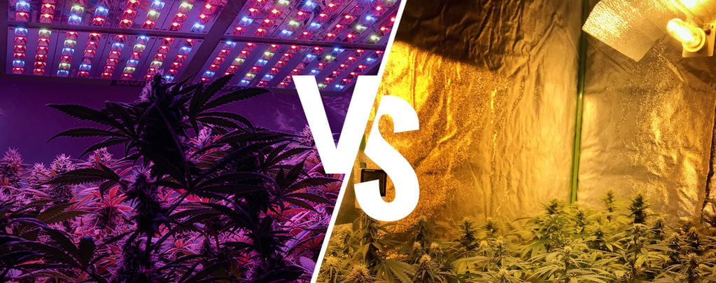 LED vs HPS Grow Lights: Which is Better for Indoor Plants?