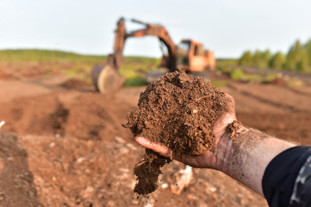 Peat Moss vs Compost: Which One Should You Use?