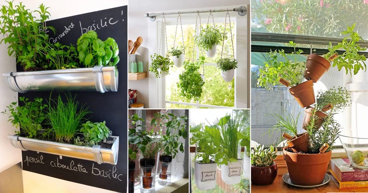 Create a Flavorful Vertical Herb Garden