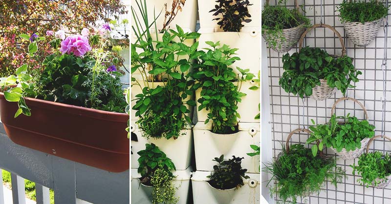 Designing and Building Your Vertical Herb Garden