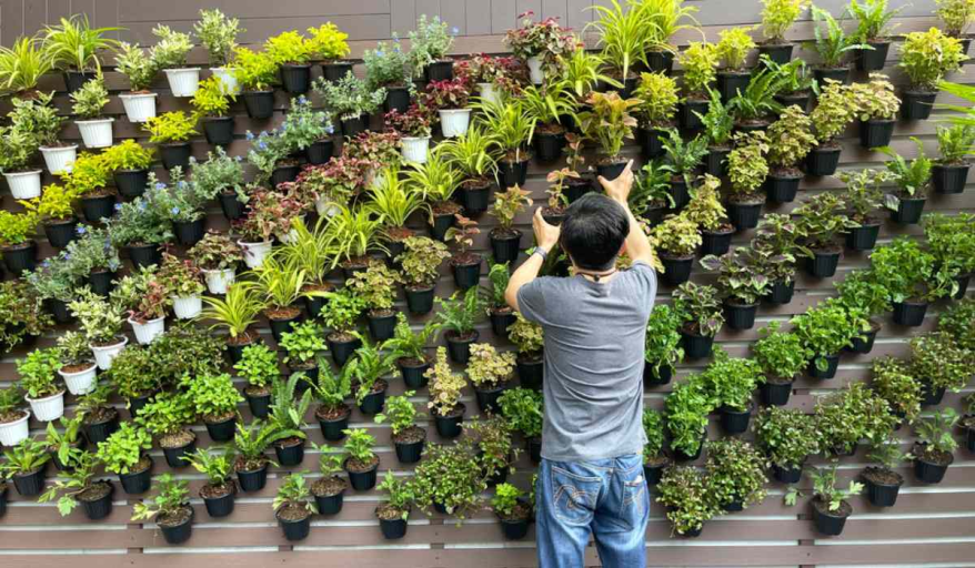 Explore the Advantages of Vertical Gardening