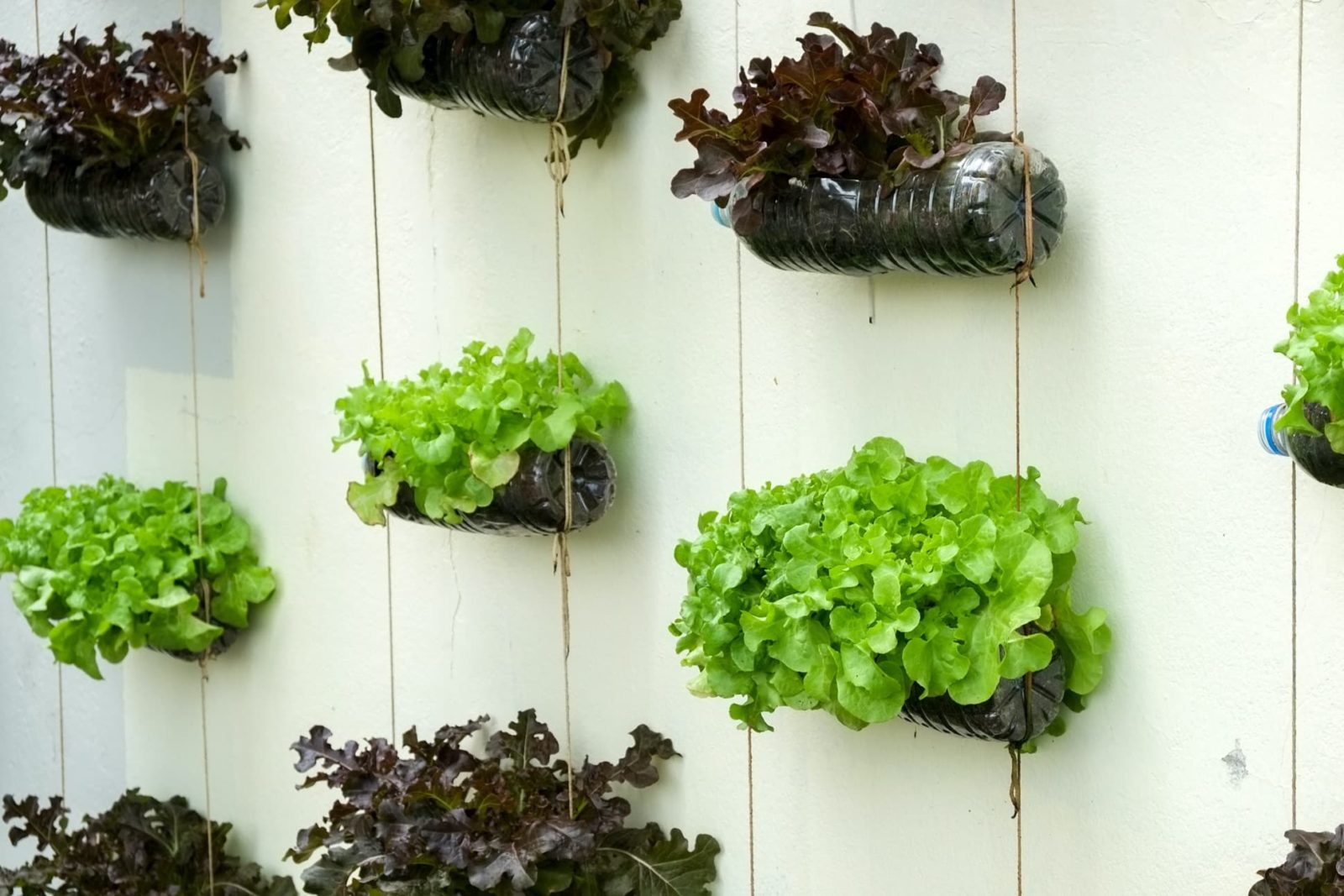 How to Implement Creative Vertical Garden Containers