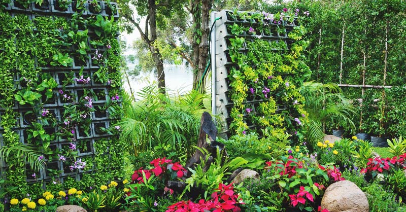 Master Vertical Garden Watering Techniques: Tips for Effective Maintenance