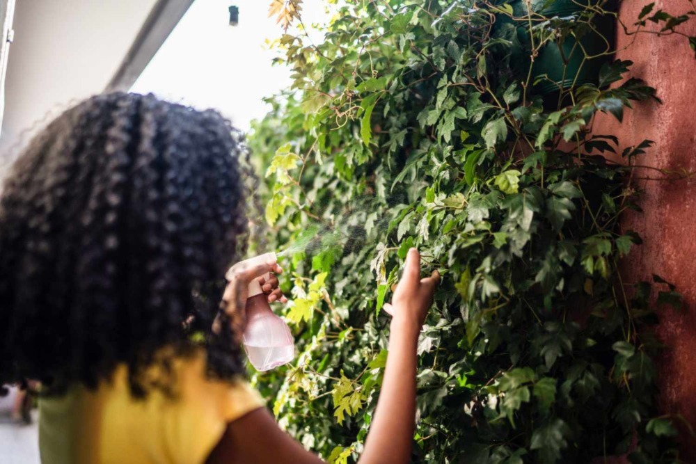 Protect Your Vertical Garden from Pests