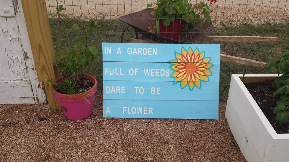 Gardening memes