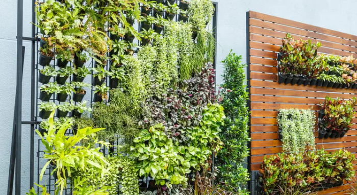 Maximize Space with Vertical Gardening in Small Areas