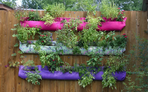 Choose the Perfect Color Schemes for Your Vertical Garden