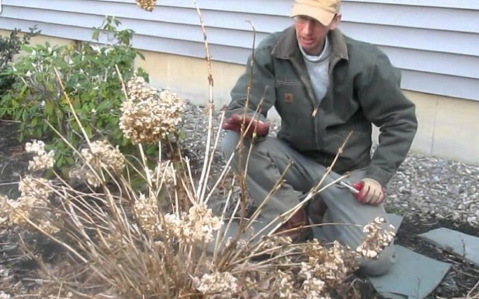 Pruning Techniques Demystified