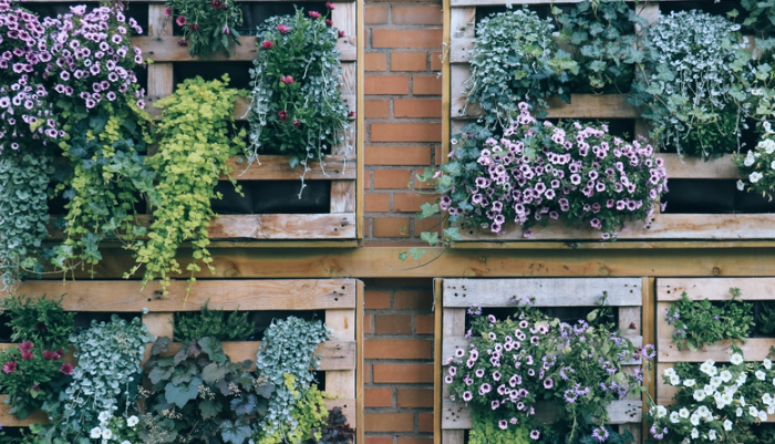 The Impact of Colors in Vertical Gardens