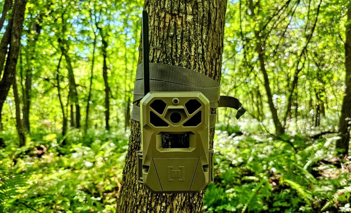 Best Trail Cameras
