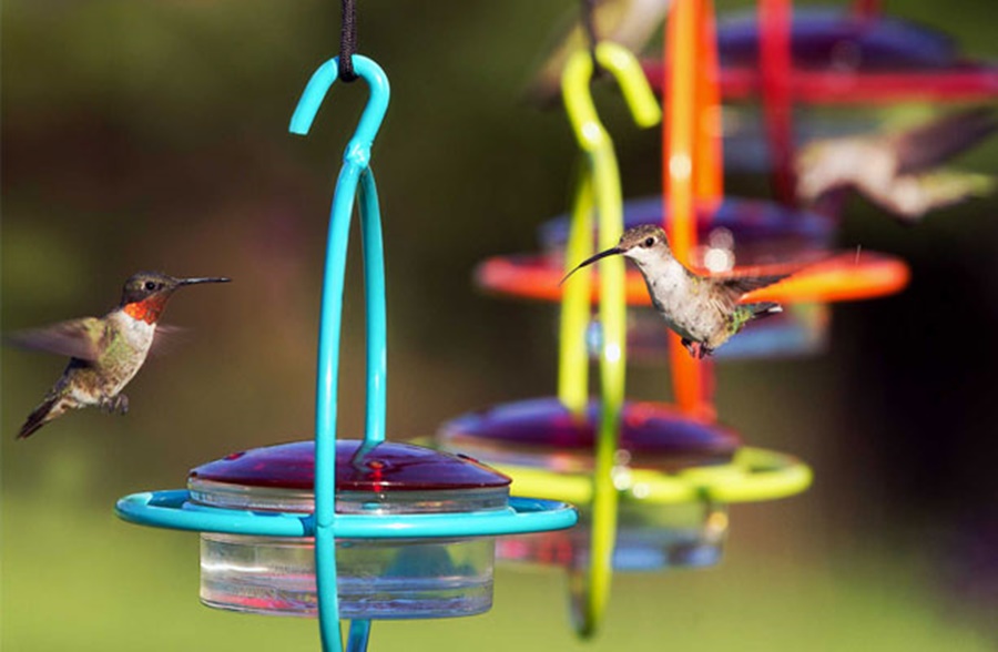 best location for hummingbird feeders