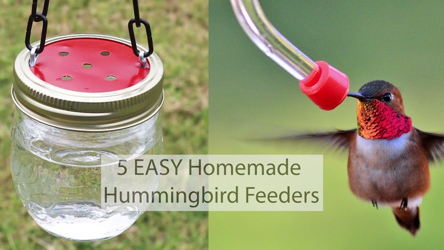 how to make homemade hummingbird feeder nectar