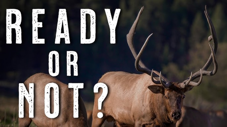Best Seasons for Deer and Elk Hunting