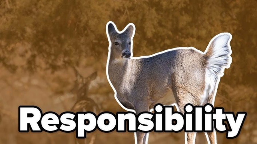 Ethical Shot Placement and Hunter Responsibility