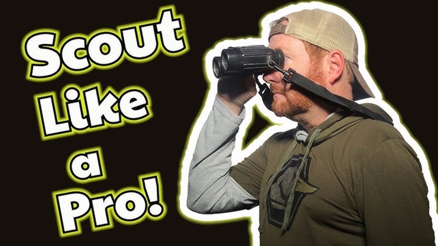 Scouting Techniques for Successful Hunts