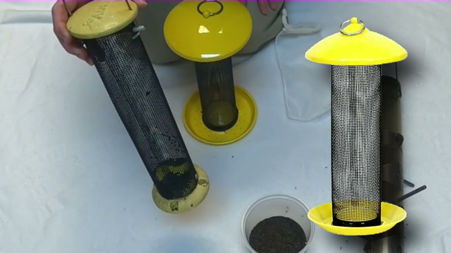 Finch Feeder vs Thistle Feeder: Which Feeds Birds Better?