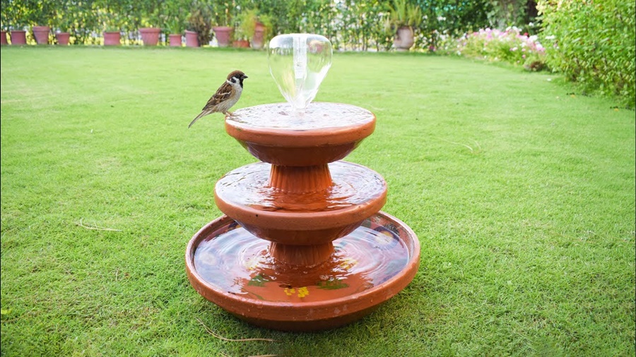 bird bath vs water bowl for birds