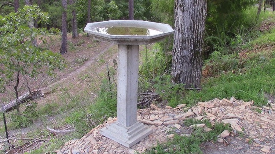 ceramic bird bath vs concrete bird bath