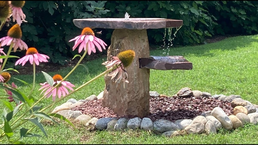 ground bird bath vs elevated bird bath