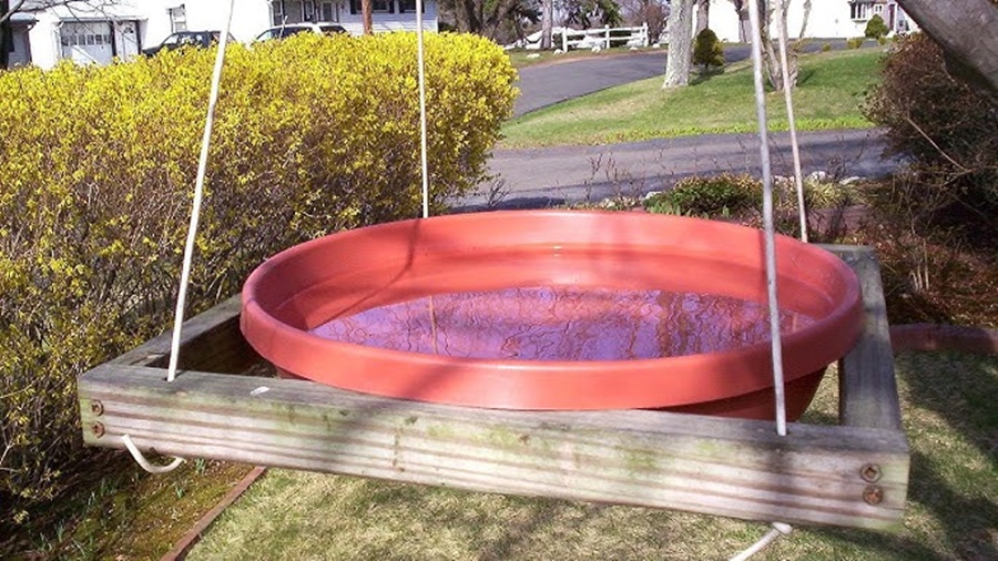 hanging bird bath vs pedestal bird bath