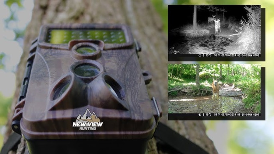 trail camera HD vs 4K