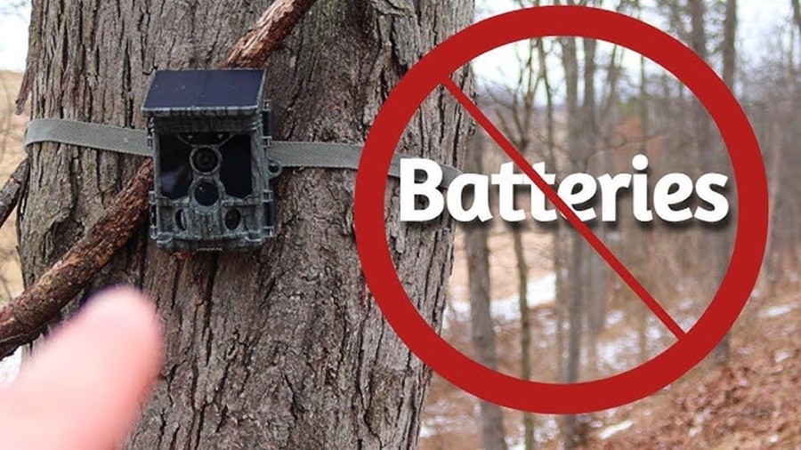 trail camera battery powered vs solar powered