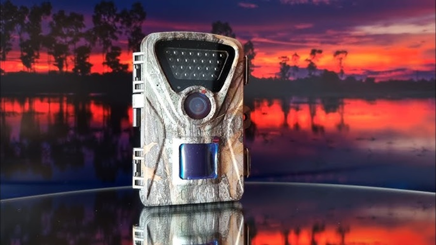 trail camera night vision vs daylight only