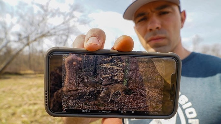trail camera wireless vs wired