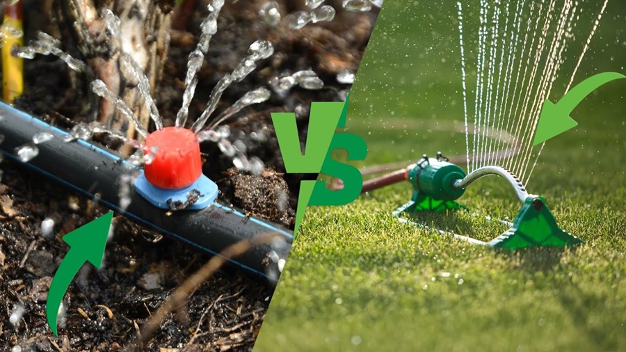 Drip Irrigation vs Sprinkler Irrigation