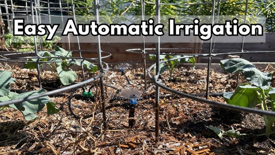 Manual Irrigation vs Automatic Irrigation