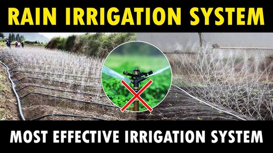 Rainwater Irrigation System vs Municipal Water Irrigation