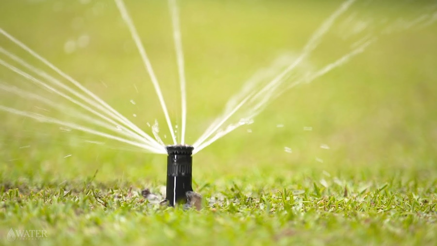 Rotor Sprinklers vs Spray Sprinklers