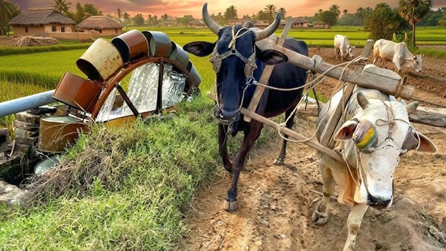 Smart Irrigation System vs Traditional Irrigation System