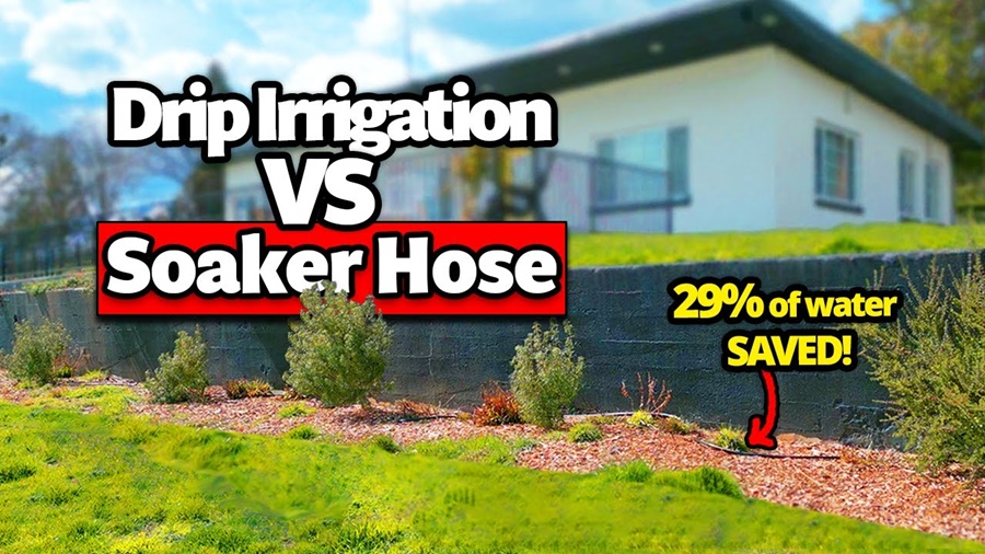 Soaker Hose vs Drip Irrigation