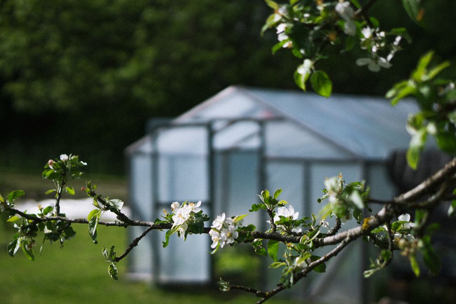 10 Best Greenhouses for Backyard Gardening in 2026 (Tested & Reviewed)