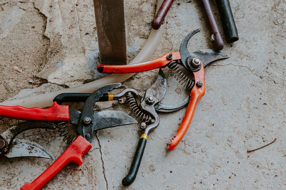 Complete Guide to Garden Maintenance Mistakes