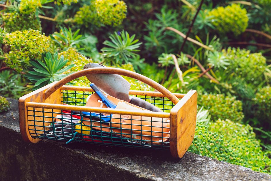 Top Garden Maintenance Checklists Reviewed